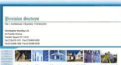 Desktop Screenshot of precisionsurveys.net